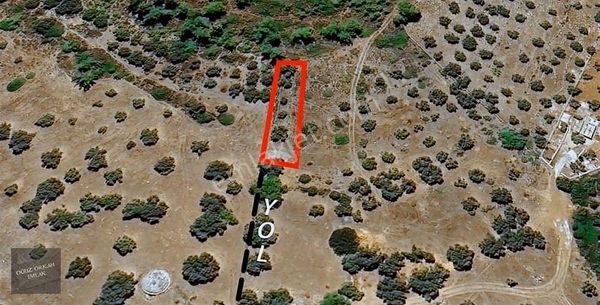 Bodrum, Mazı'da Yatırım Değeri Yüksek Yola Cephe Tarla