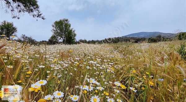 Rw Nefes Gayrimenkul'den Yeni Baraj Yolunda Satılık Tarla
