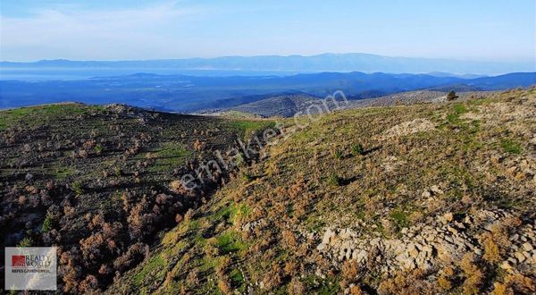 Rw Nefes' Ten Gömeç Ulubeyler' De Büyük Fırsat Tarla
