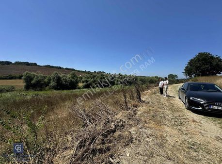 Acilll Satılık Tek Tapu