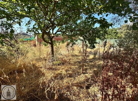 Aydın Germencik Hıdırbeyli Mah De 340 M² Bahçe Ve Arsa