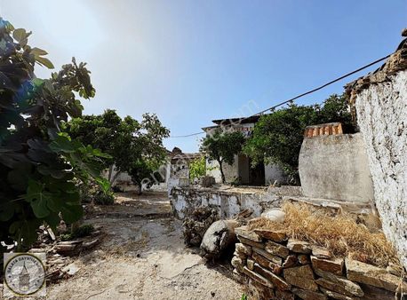 Aydın Koçarlı Kasaplı Mah De 380 M² Müstakil Bahçeli 2+1 Ev