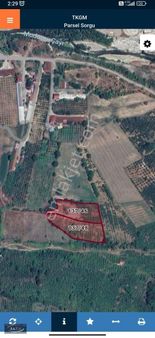 9.200 Metrekare Düz Merkezi Konum Fındıklık Müstakil Tapu