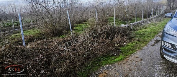 Köy İçi Sakin Konum