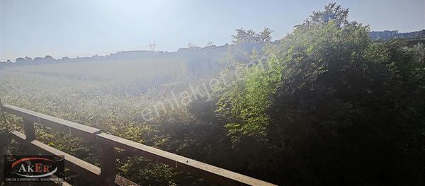 23 Dönüm Müstakil Tapu Yol Su Elektrik Sorunu Yok.fidancılık Vs.