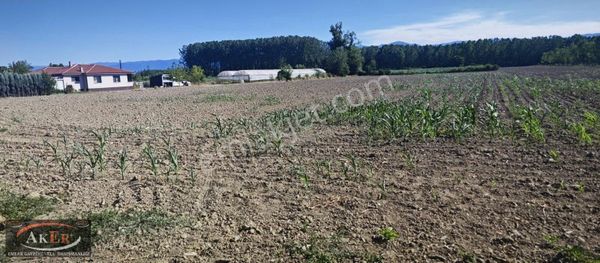 Müstakil Tapu İmarlı Harika Konum