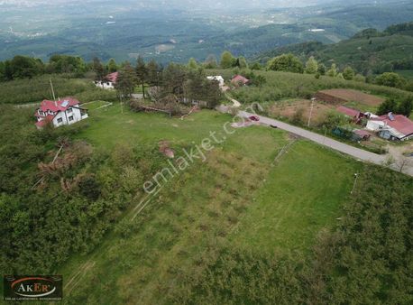 Düz Manzaralı Resmi Yolu. Var Fındık