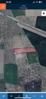 Yorulmaz Gayrimenkulde Süleymanlıda Zeytinlik