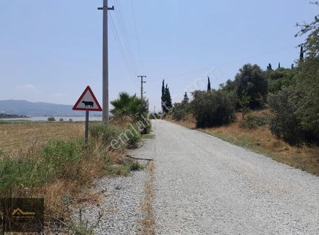 Milas Boğaziçi Göl Manzaralı Yatırımlık Zeytinlik & Tarla