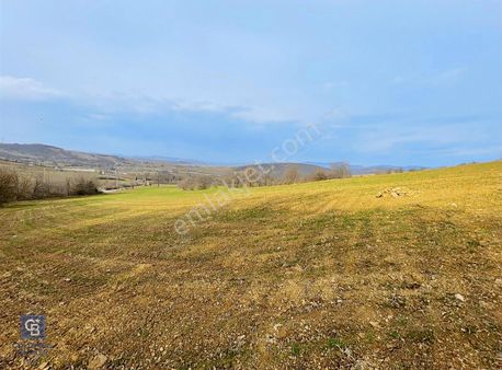 Cb/park Hüseyin Atay'dan Bungalov Ve Çiftlik Kurulabilir Arazi