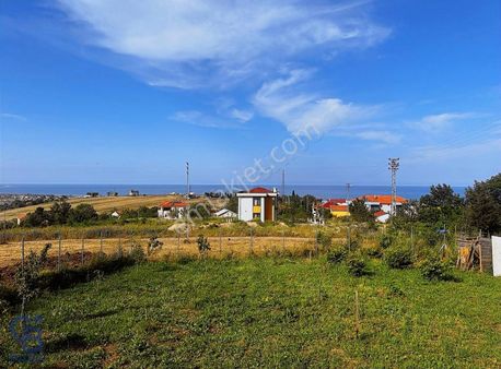 19 Mayıs Dereköy Taşkelikde Satılık Yazlık Ve Arsa