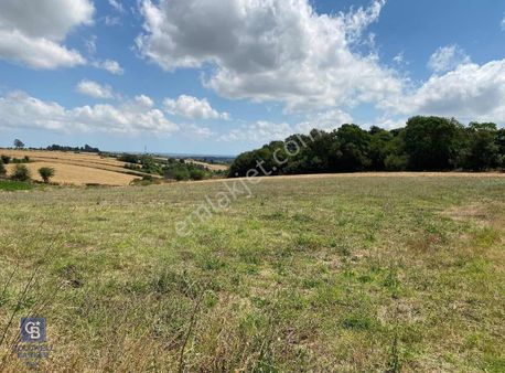 Bafra Elifli'de Ana Yola 2. Parsel Fırsat Fiyatlı 7.582m2 Tarla