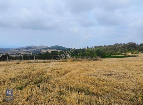 Cb Park'dan Sarayköy De Satılık Tarla