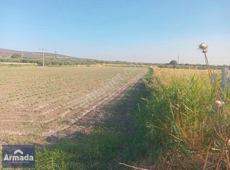 Menemen Türkellide 3200 M2 Tarıma Elverişli Verimli Düz Arazi