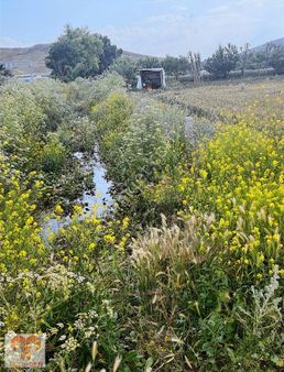 Başıbüyüklü Ana Yol Kenarında Satılık Tarla&bahçe