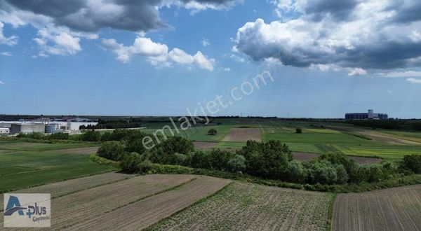 Saray Beyaz Köy Kupon Tarla
