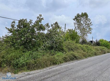 Samsun Çarşamba Çınarlık Satılık Arsa