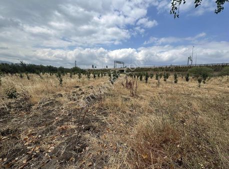 Bursa Emlak Alemi Muradiye Mahallesi Konumda Satılık