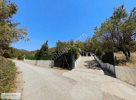 Kemalpaşa Damlacık'da 1199 M2 Müstakil Tapulu Yapı Kayıt Belgeli