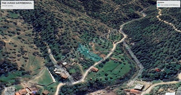 🌿 Köy İçi İmarlı – Aydın Efeler Şahnalı’da 1.068 M² Müstakil Arsa | Zeytinlik İçinde, Eşsiz Manzara