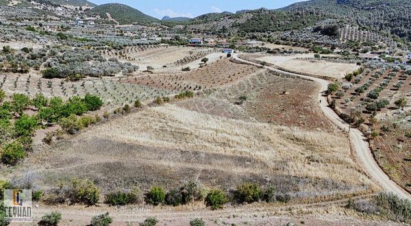 Şehitlerde Satılık Boş Tarla