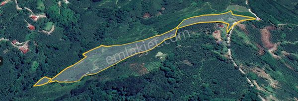 Perşembe Boğazcıkta 41 Dönüm Ev Yapımına Uygun Arsa