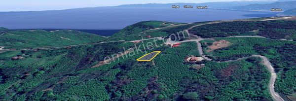 Perşembe Yeniköyde 978 M2 Ev Yapımına Uygun Arsa