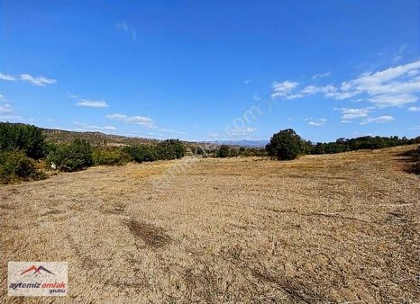 Sındırgı İbiller Ovasında Yatırımlık 6030 M2 Satılık Arazi