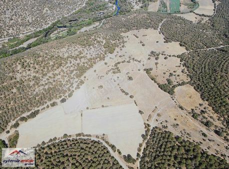 Balıkesir Sındırgı İbillerde 11.164 M2 Çiftlik Arazisi