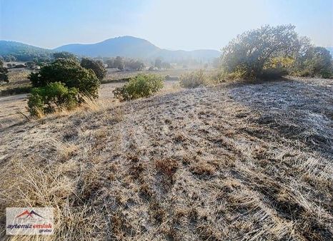 Balıkesir Sındırgı Aktaş Mahalelsinde 1828 M2 Hobi Bahçesi