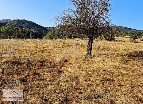 Balıkesir Sındırgı Düvertepe Mahallesinde Satılık Hobi Bahçesi