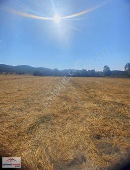 Balıkesir Sındırgı Aktaş Mahallesi 482 M2 Hobi Bahçesi