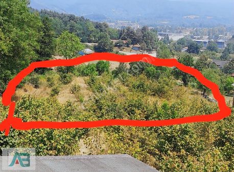 Düzce Kaynaşlı Şimşir Mahallesınde Satılık 1000 M2 Arsa