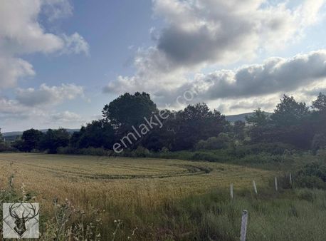 Çatalca Çiftlikköy'de 272 M² Çevrili, Yola Cephe, Acil Satılık