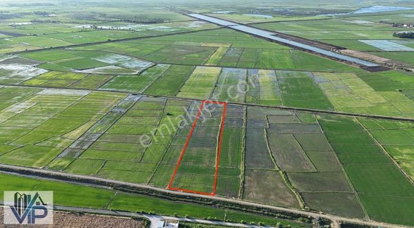 Vip Gayrimenkulden Alaçam Soğukçamda Satılık Tarla