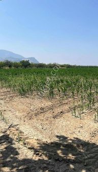 Geb'ten Satılık Tarla