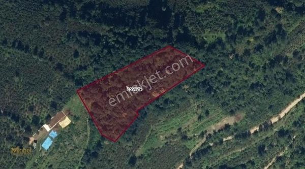 Mabel'den Çamaş'ın Gözde Lokasyonunda Fırsat Satılık Arsa