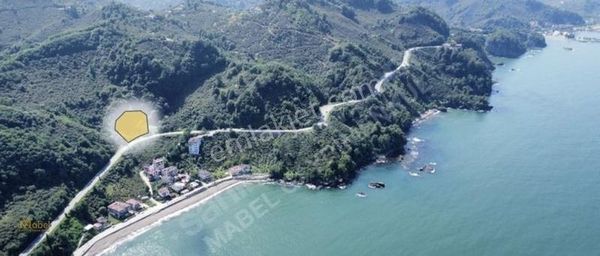 Mabel'den Fatsa Yalıköy Merkezde Ev Ruhsatı Alınmış 2.630m2arsa