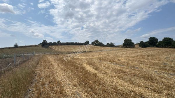 Tekirdağ Çerkezköy Bağlıkta 626m2 Satılık Hisseli Parsel