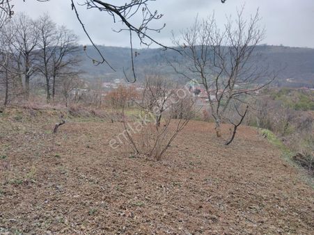 Bursa Ybursa Yenişehir Süleymaniye De 411 M2 Bağ Enişehir Süleymaniye De 411 M2 Bağ