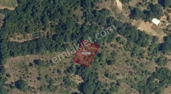 Bursa Yenişehir Süleymaniye De 620 M2 Bağ