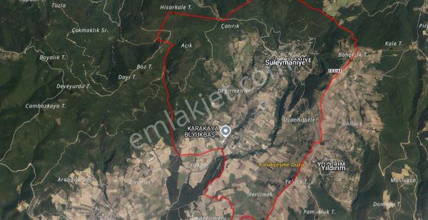 Bursa Yenişehir Süleymaniye De 1566 M2 Tarla