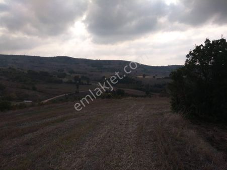 Bursa Yenişehir Süleymaniye De 5665 M2 Arazi