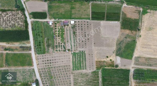 Menemen Doğaköyde Satılık 1778 M2 Tek Tapu Kayısı Bahçesi