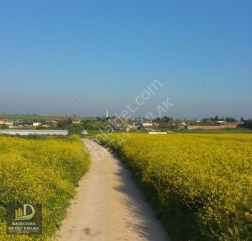 Detay Emlaktan Yeni Sığırcı Mahallesinde Satılık 772m² Tarla!