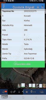 Yola Cephe Köye Yakın Güney Cephe Tarla