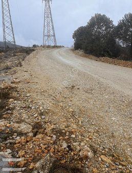 Muğla İkizce De 3.185 Metre Tarla