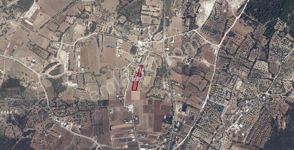 İzmir Çeşme Germiyan 3512 M2 Tarla