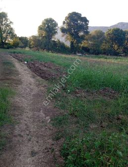 Muğla Karabağlar Yaylası