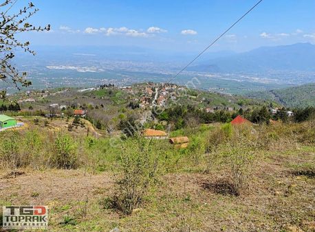 Karapürçek Ahmediyede Satılık % 40 İmarlı Fındıklık